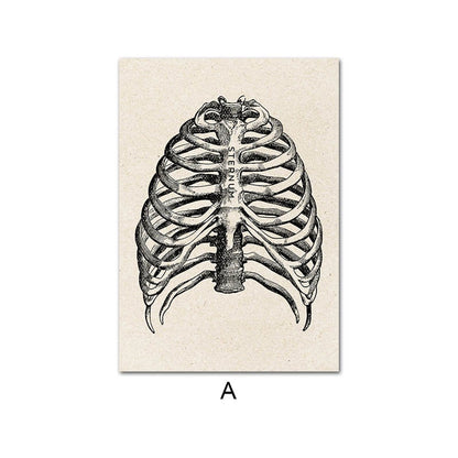 Vintage Human Anatomy Canvas Art