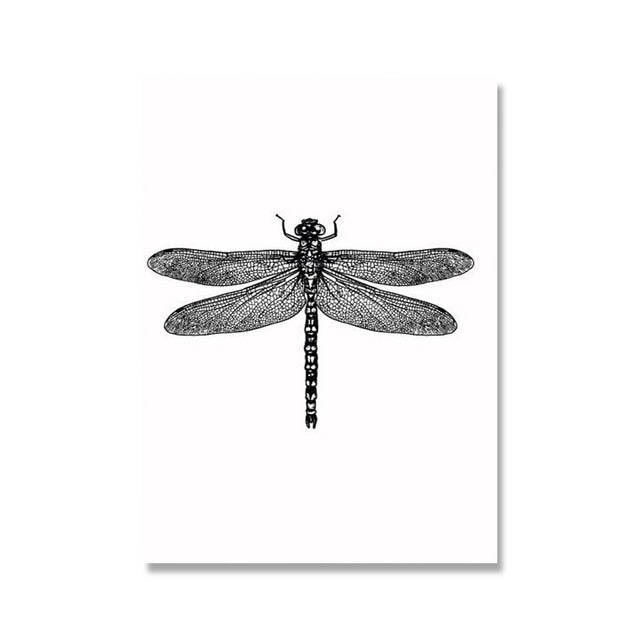 Black and White Insects Canvas Art