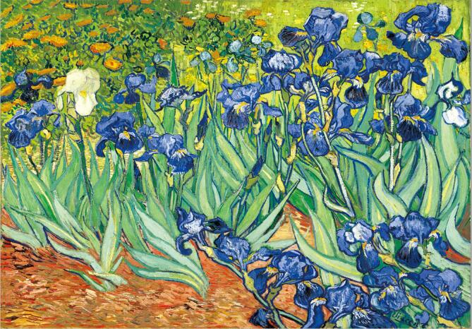 Irises Flowers by Van Gogh Canvas Art