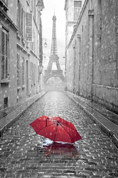 Black and White Eiffel Tower Red Umbrella Canvas Art