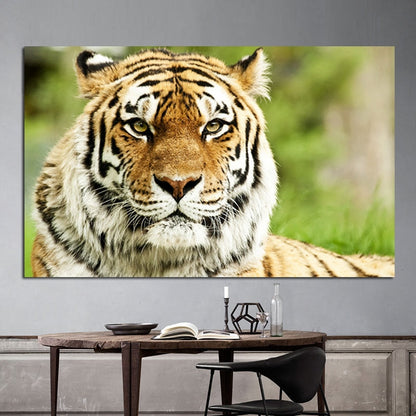 Wild Tiger Wall Art Canvas