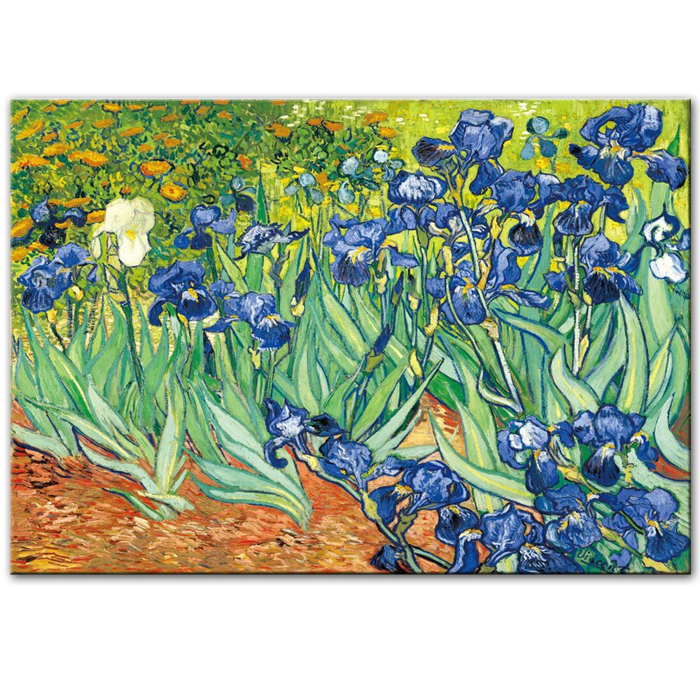 Irises Flowers by Van Gogh Canvas Art