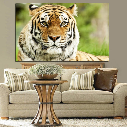 Wild Tiger Wall Art Canvas