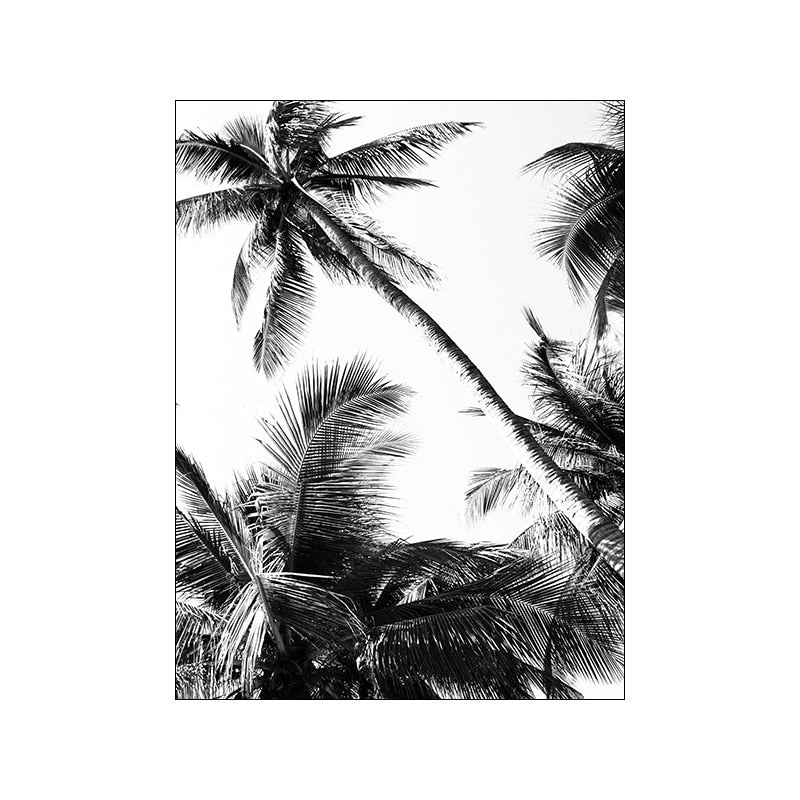 Black And White Palm Tree Canvas