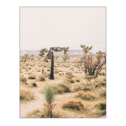 Desert Landscape Canvas Art