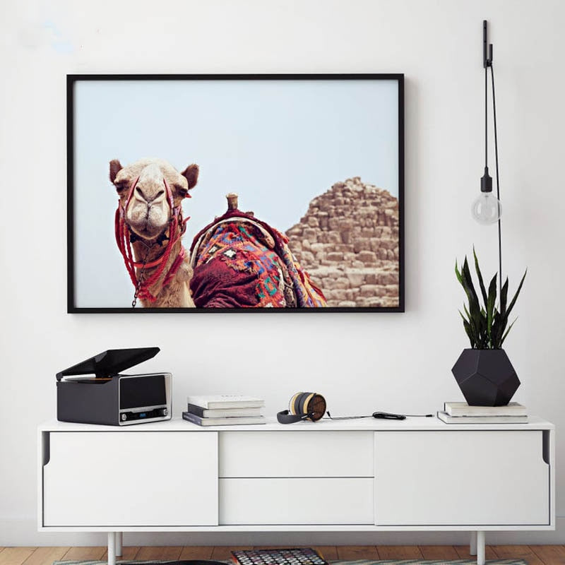 Pyramid Camel Canvas Art