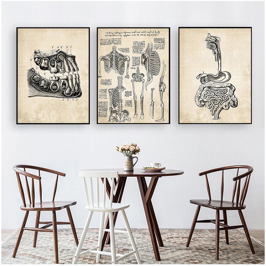 Vintage Anatomy Canvas Art