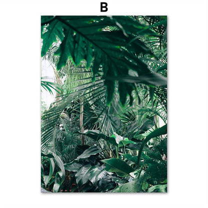 Animal in Tropical Rainforest Canvas Art