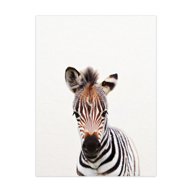 Cute Animal Canvas Art