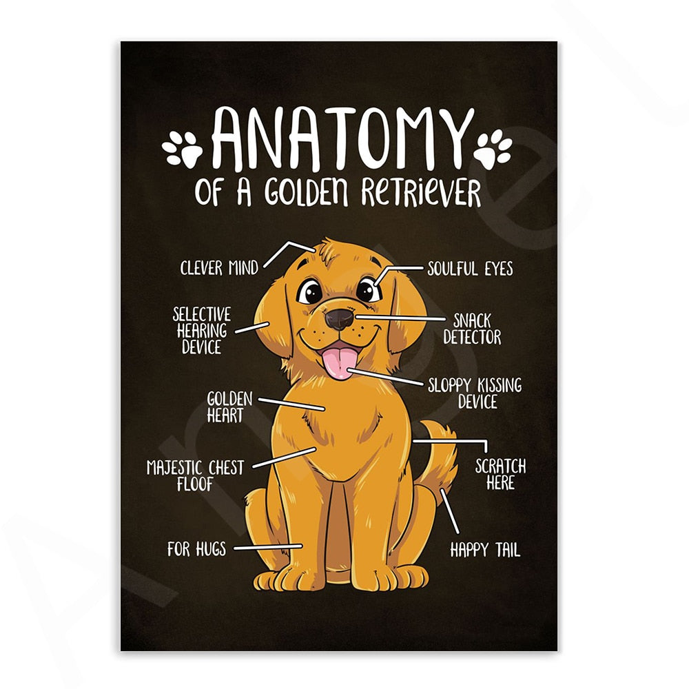 Anatomy of Dogs Canvas Art