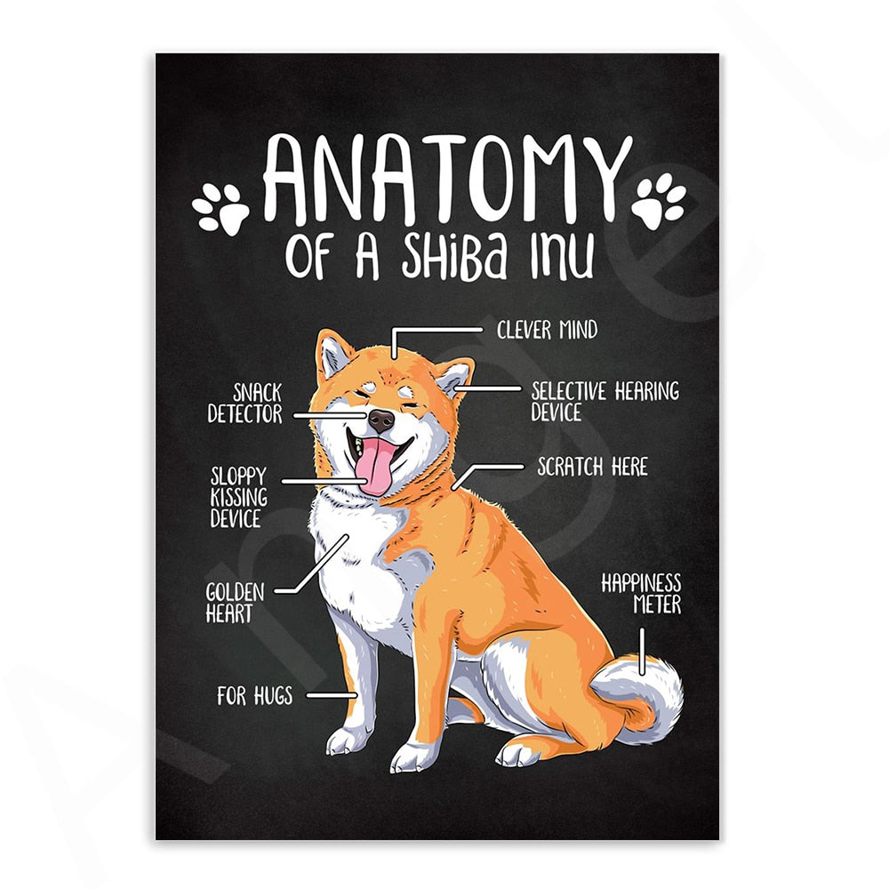 Anatomy of Dogs Canvas Art