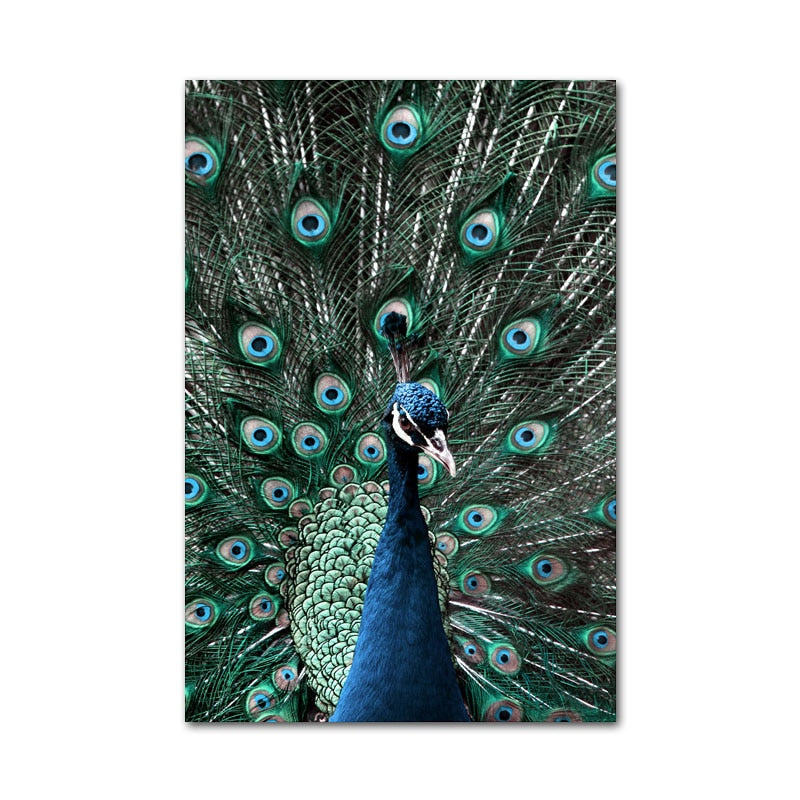 Peacock Elephant Cheetah Canvas Art