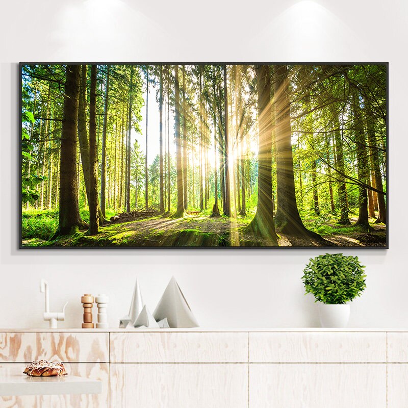 Forest Sunshine Canvas Art