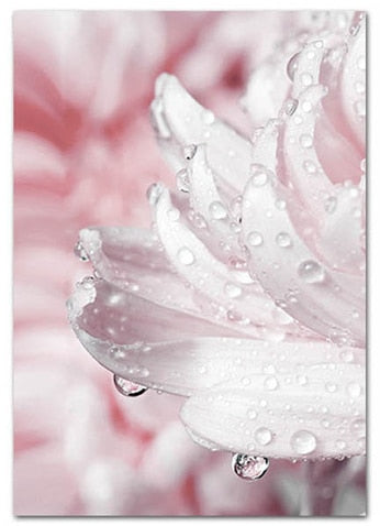 Blooming Pink Flower Canvas Art