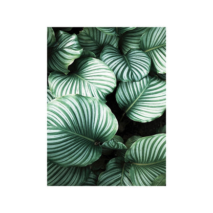 White Tulip Monstera Plant Canvas Art