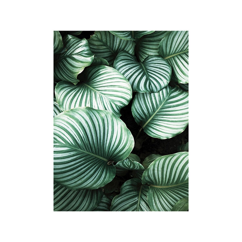 White Tulip Monstera Plant Canvas Art