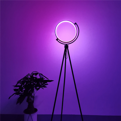 Halo Color Changing Lamp