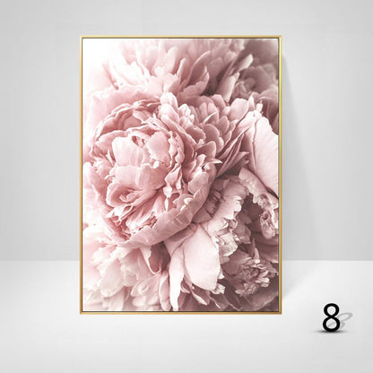 White Pink Peony Canvas Art