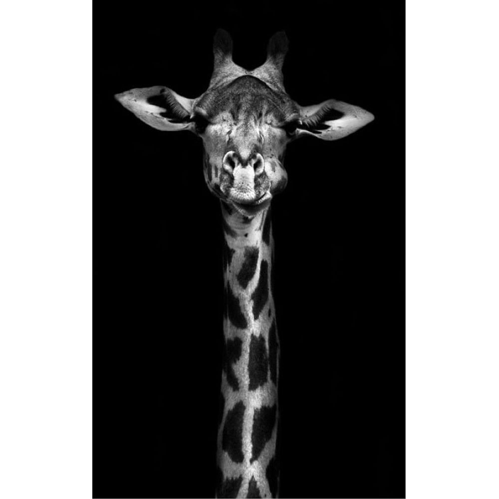 Black and White Tiger Antelope Horse Giraffe Butterfly Canvas Art