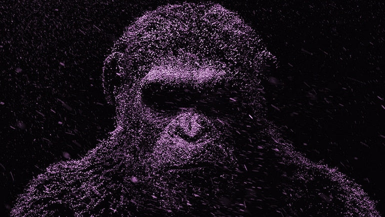 Purple Orangutan Canvas Art