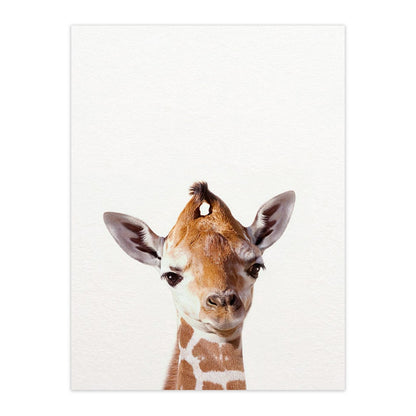 Cute Animal Canvas Art