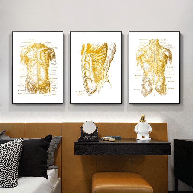 Gold Human Anatomy Canvas Art