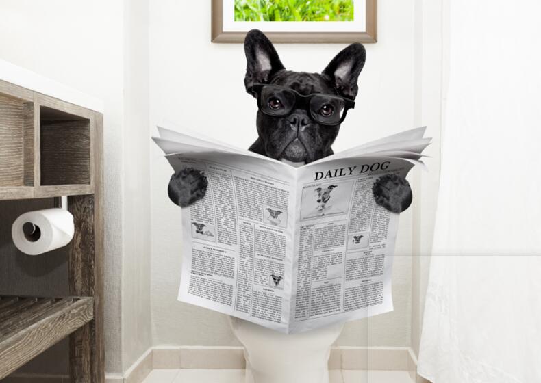 Dog Reading Newspaper Canvas Art