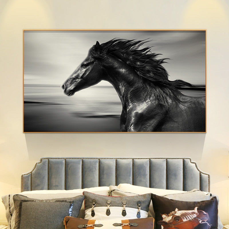 Modern Black and White Horse Canvas Art