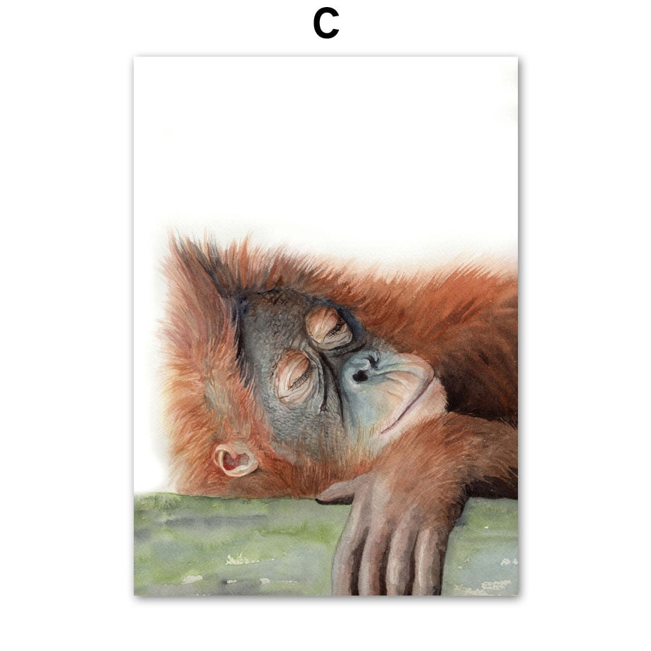 Cute Sleeping Animal Canvas Art