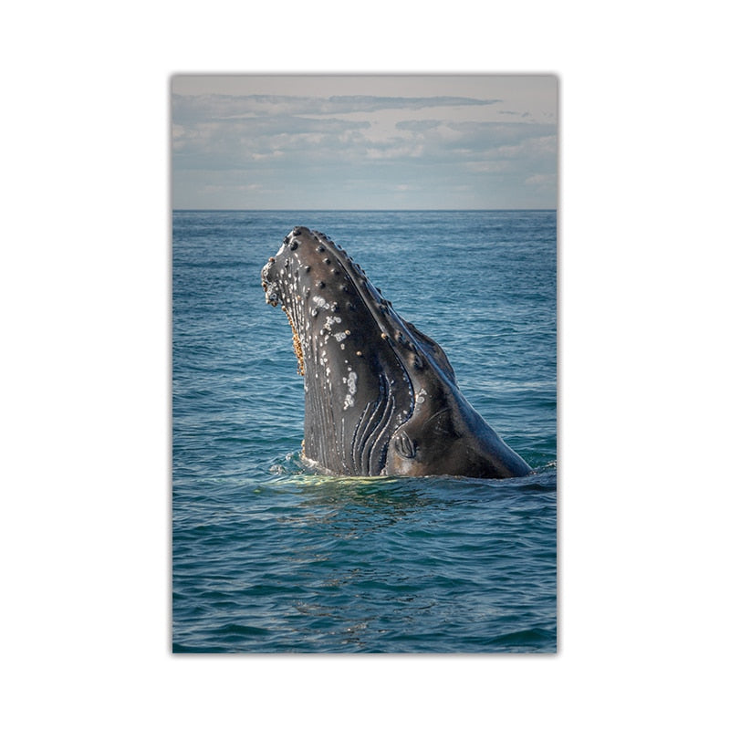 Deep Sea Whale Yacht Sea Canvas Art