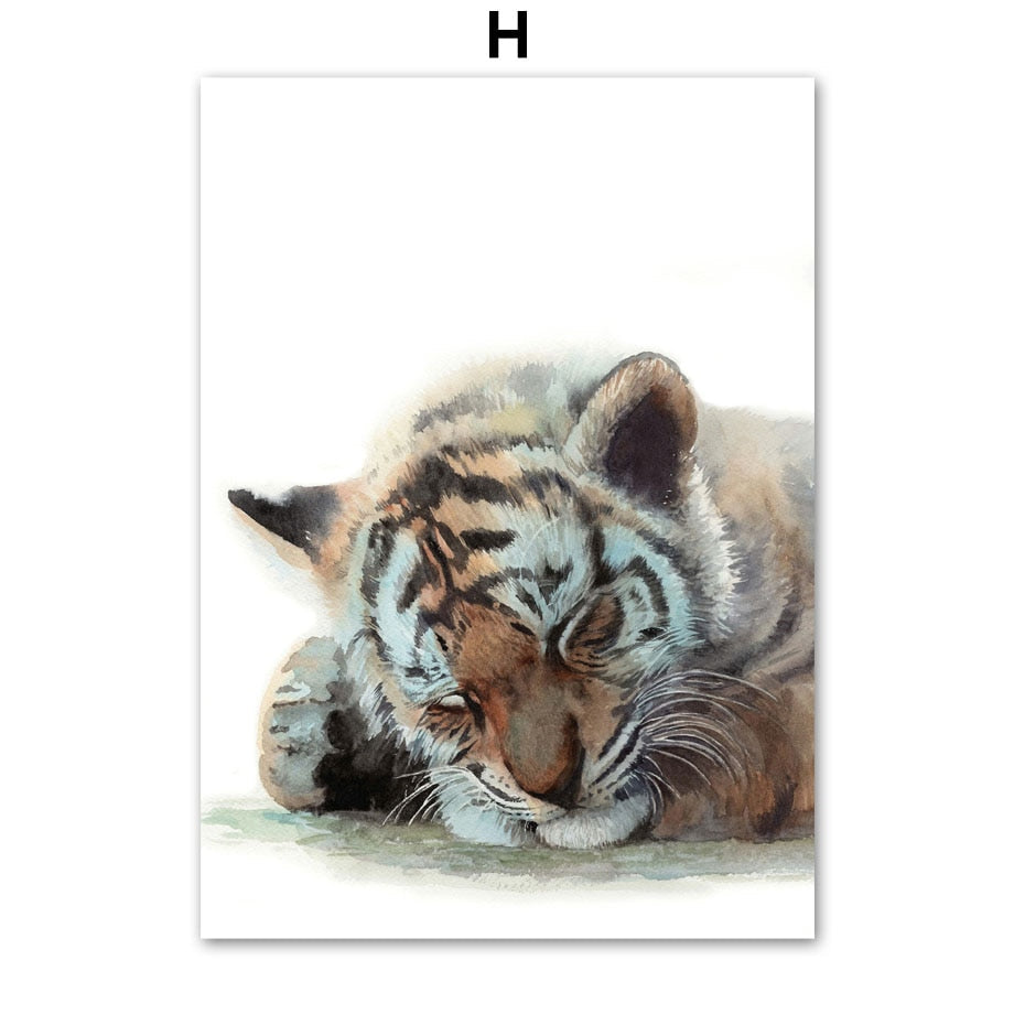 Cute Sleeping Animal Canvas Art