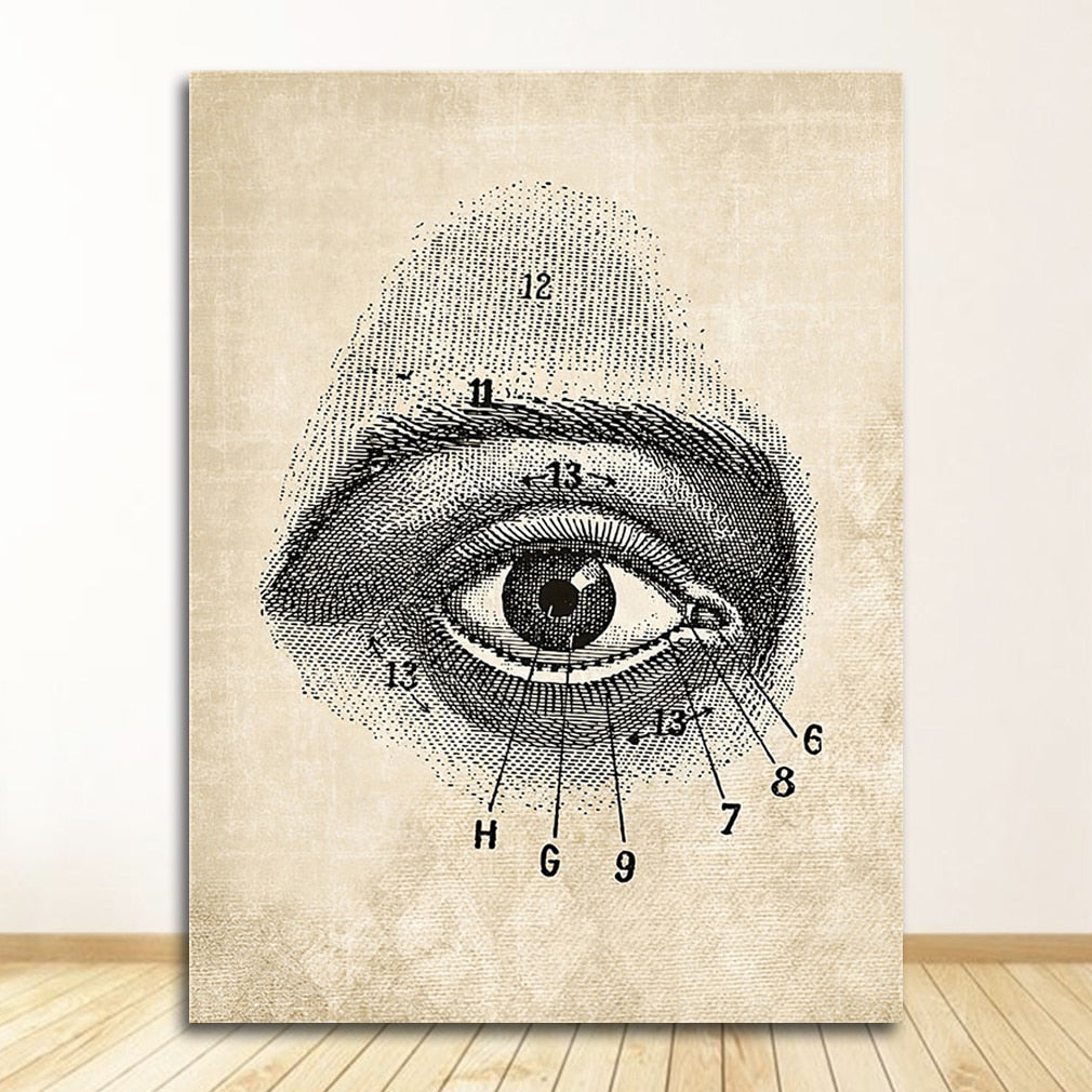 Vintage Anatomy Canvas Art