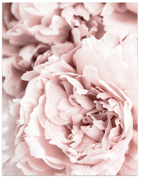 Blooming Pink Flower Canvas Art