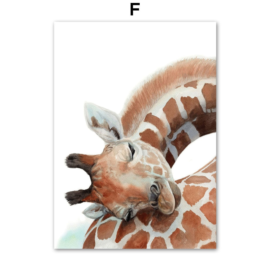 Cute Sleeping Animal Canvas Art