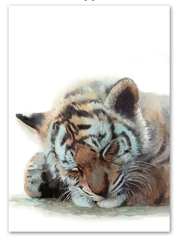 Cute Sleeping Animal Canvas Art