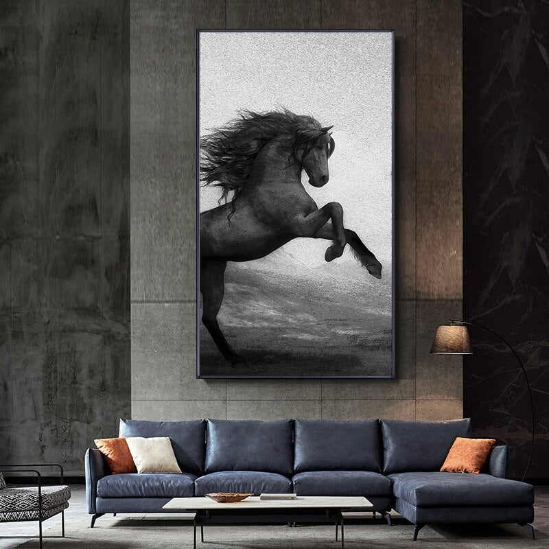 Black and White Horse Canvas Art