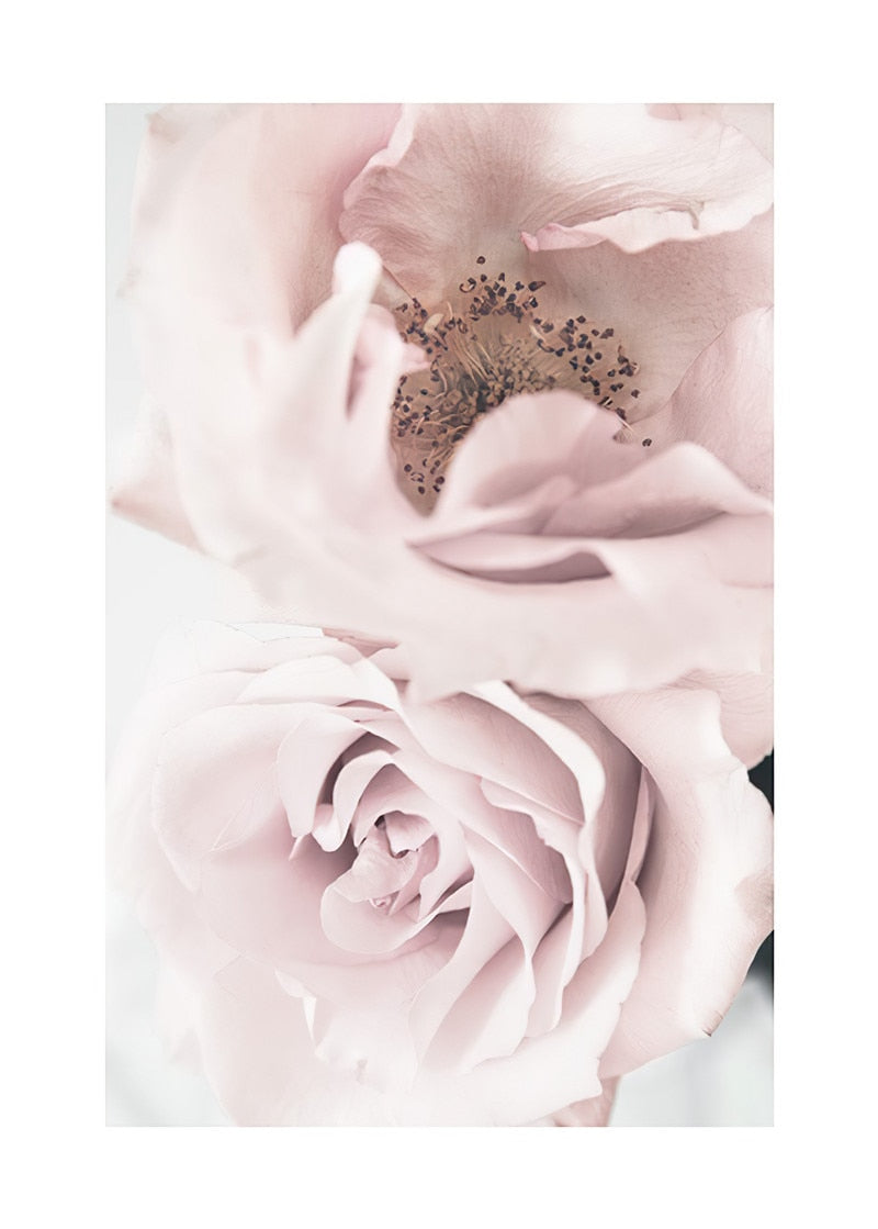 Fresh Pink Flower Canvas Art