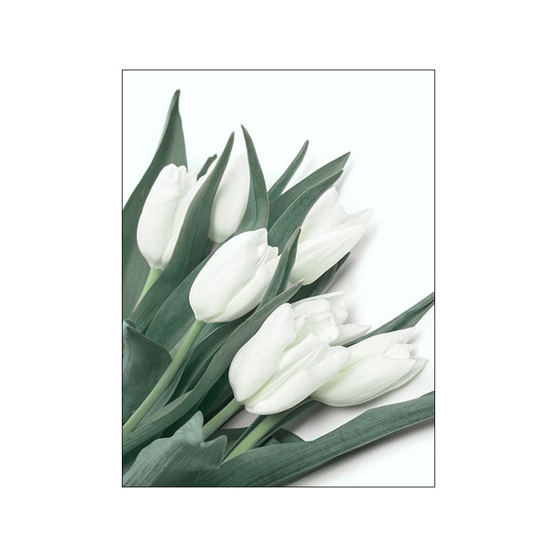 White Tulip Green Aloe Plant Canvas Art