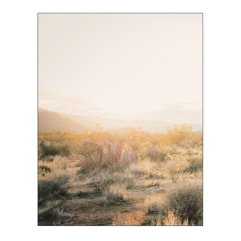 Desert Landscape Canvas Art