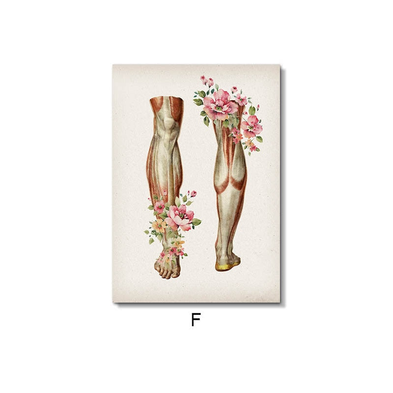 Floral Skeletal Muscle Anatomy Canvas Art