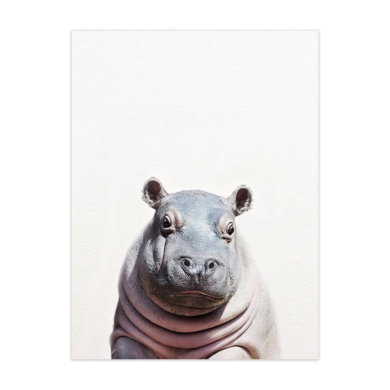 Cute Animal Canvas Art