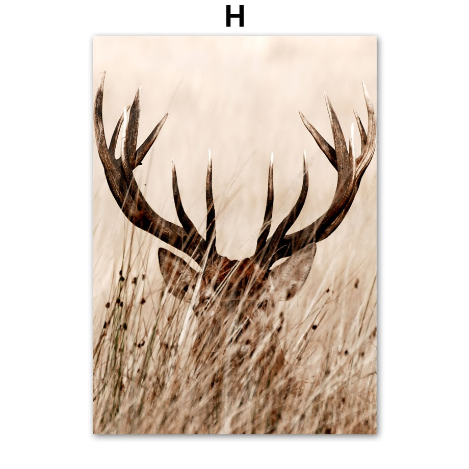 African Savanna Animals Canvas Art