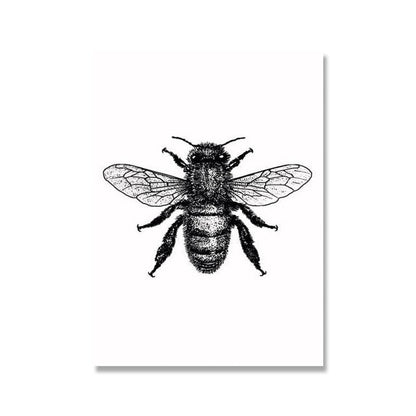 Black and White Insects Canvas Art