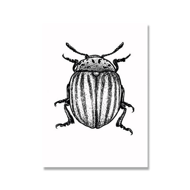 Black and White Insects Canvas Art