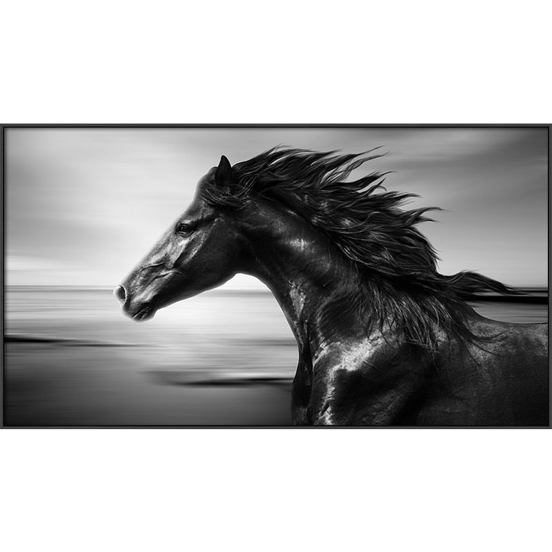 Modern Black and White Horse Canvas Art