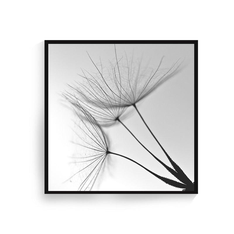 Black and White Dandelion Flower Art