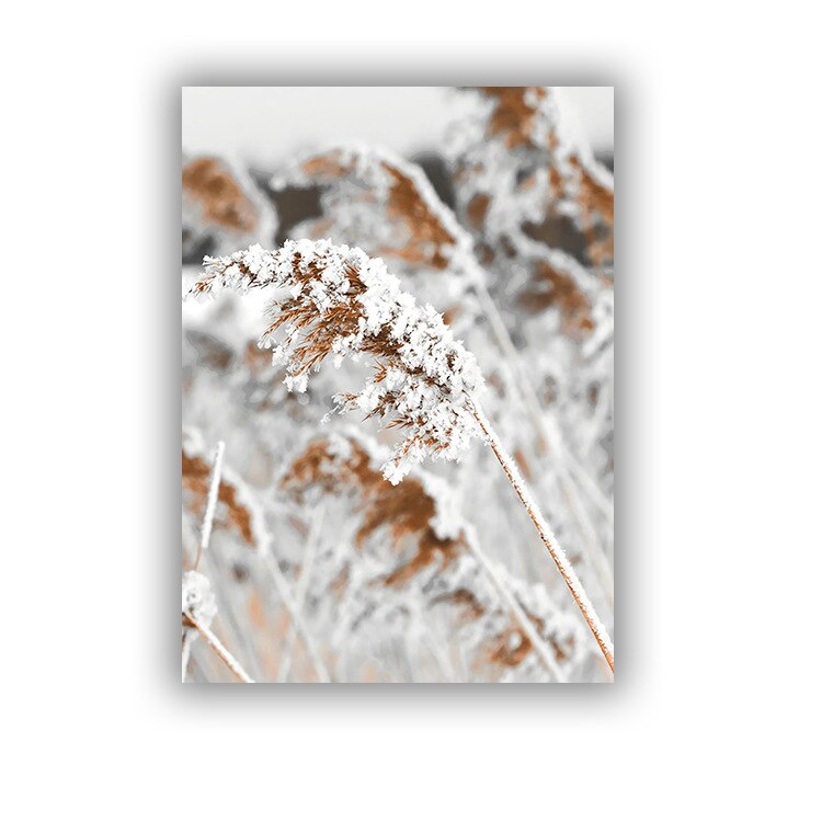 Dead Leaves Canvas Art