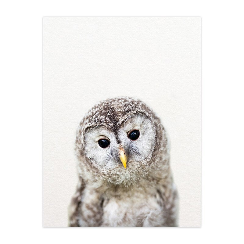 Cute Animal Canvas Art