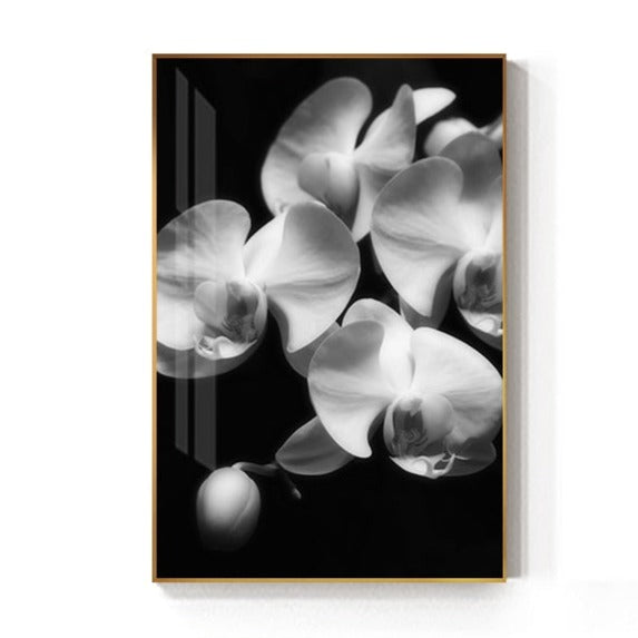 Black And White Tulip Flower Canvas Art