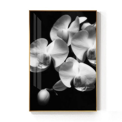 Black And White Tulip Flower Canvas Art